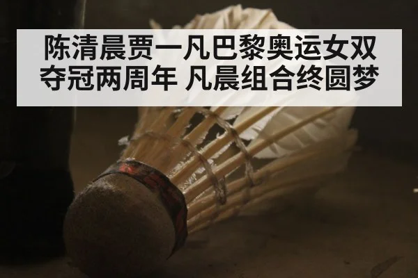 陈清晨贾一凡巴黎奥运女双夺冠两周年 凡晨组合终圆梦
